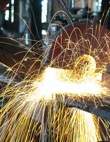 pexels-alexsandro-rosa-de-mello-295505 pexels-alexsandro-rosa-de-mello-295505