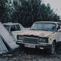 pexels-khoa-vÃµ-5812861